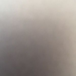 Meet your Posher, Rayna